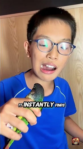 This Family Has the Cutest Way to Pull a Loose Tooth