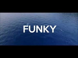 Lo mejor de funky
