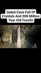 1.3M views · 13K reactions | Gated Cave Full Of Crystals And 300 Million Year Old Fossils | Action Adventure Twins | Facebook