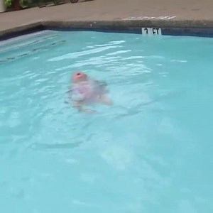This is the incredible moment 16-month-old Elizabeth swims the length of a pool unassisted! | London Evening Standard