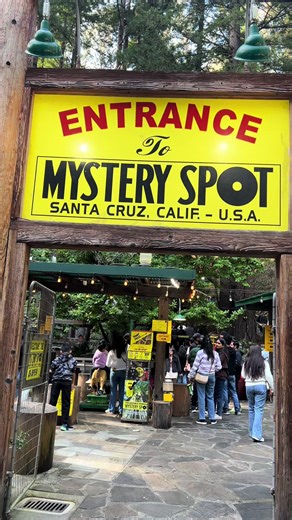Exploring the Mystery Spot in Santa Cruz, California