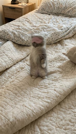 I’m hypnotizing #foryoupage #fyp #trending #viral #viralvideo | xg hypnotize