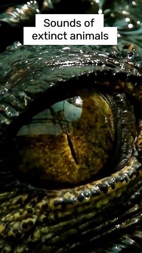 Sounds of extinct animals