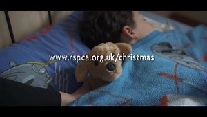 Have you seen our Christmas film yet? Here's a sneak peek, but you can watch the full version and join our #KindnessAtChristmas campaign here: http://bit.ly/2zkfCHr | RSPCA (England & Wales)