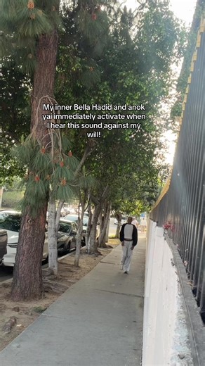 My name is Bella hadid | Anok yai