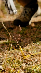 1.3M views · 9K reactions | Is the ARC the best camping multi-tool or just the best multi-tool? https://bit.ly/45iXeL4 | Leatherman | Facebook