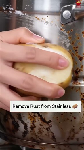 Remove Rust from Stainless Steel with a Potato 🥔✨ #shortsfood #easycooking