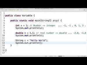 JAVA1 - 8.1. Defining Variables