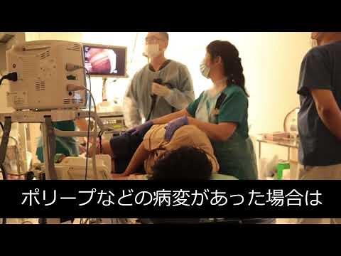 苦痛の少ない大腸内視鏡検査（大腸カメラ）の流れ｜安城市のみうらクリニック