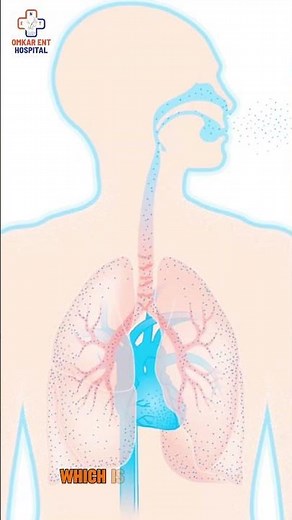 Sinusitis vs Common Cold: How to Tell the Difference Before It Gets Worse