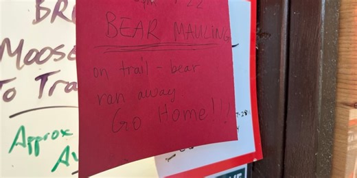 ‘Dragged off the trail’: Bear’s whereabouts unknown following Anchorage mauling