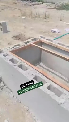 6.9K views · 39 reactions | The construction of a snail pen housing system. #snailfarming #livestockbusines #oluzfarm | Oluz farms & Agro consults | Facebook