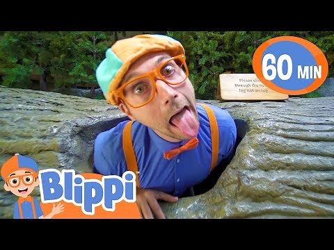 Blippi Learns At The Children's Museum! | Educational Videos for Kids
