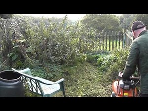 Review - Flymo XL500 dealing with a badly overgrown garden.