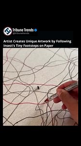 An artist traced the path of an insect on paper by following its tiny footsteps with a pen. #Art #Creativity #InsectArt #UniqueArt #PaperArt #DrawingFun #Tribunetrends | Tribune Trends