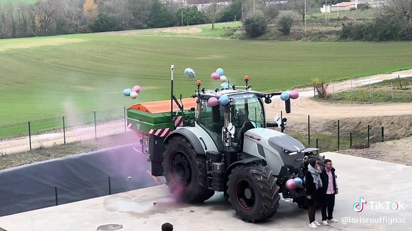 🩷💙#jumeaux#gendereveal#fyp