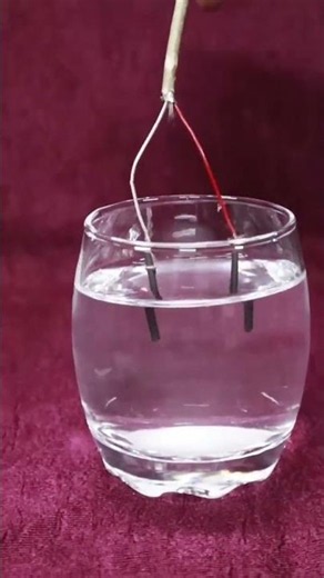 Decomposition Reaction |Electrolysis of Water | Class 10 Chapter 1Science (Chemistry)