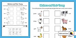 Mothers and Their Young Animal Matching Cut and Paste Worksheet for K-2nd Grade
