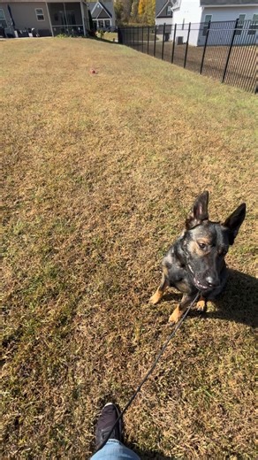 26 reactions | Kaida is making progress with name recognition and...