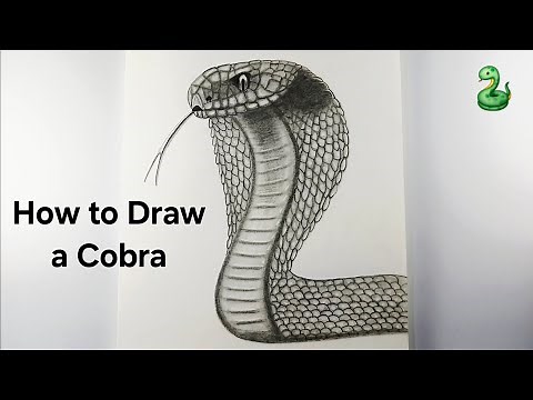 🐍 How to Draw a Cobra Snake || Realistic Cobra Snake Drawing || Snake Drawing Step by step