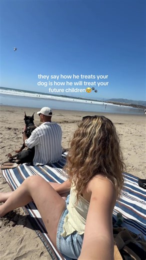 Understanding Relationship Dynamics Through Pet Interactions