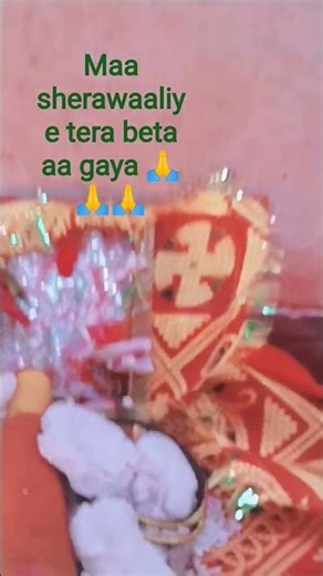 माँ शेरावलिये तेरा शेर आ गया🙏 maa # sherawali # shorts