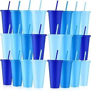 Skylety 24 Pcs Winter Plastic Cups with Lids and Straws 24 oz Dusty Blue Reusable Tumbler Large Travel Mug Cup Coffee Beverage Drinks Party Supplies for Wedding Bridal Baby Shower Birthday