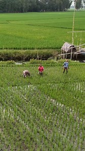 19K reactions · 173 shares | Drone Vs Farmer || Best Amazing Drone Pranks || Comedy || Pranks || #TrendingNow #ViralVideo #ExploreMore #ReelsTrend #MustWatch | Hritwik Hossain | Facebook