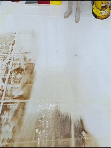 6.2K views · 82 reactions | Professional Deep Cleaning | Shaggy Rug Black Stain Removal | Pro Carpet | Facebook