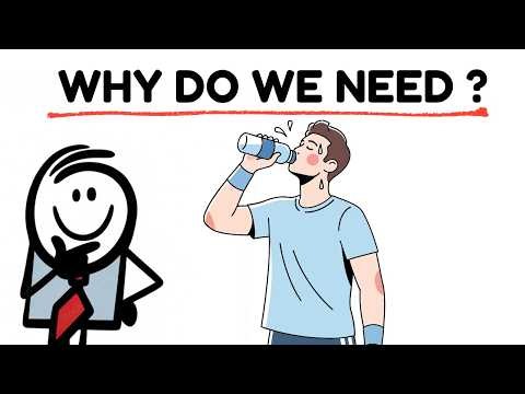 Why do we actually need water?