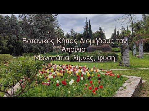 Ανακαλύπτοντας τον Βοτανικό Κήπο Διομήδους | Μονοπάτια, λίμνες και φύση