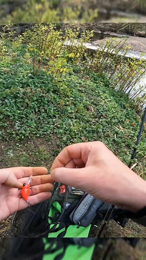 A bit of BFS FUN 🎣 #fishing #lurefishing #pikefishing #perchfishing #bassfishing #bfsfishing #troutfishing | ZombieBite Fishing