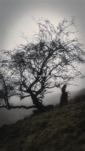The Aesthetic Allure of Wuthering Heights