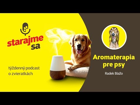 Starajme sa | Psy: Aromaterapia pre psy