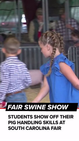 Swine Show held at the South Carolina State Fair