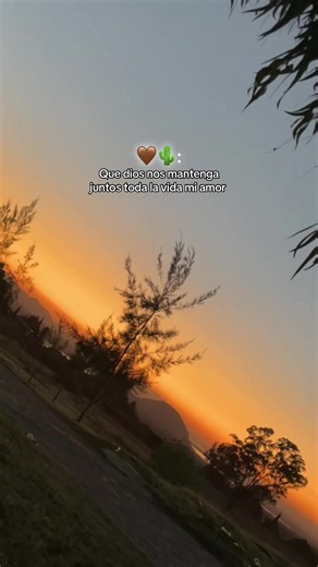 Videos de Liz✨ (@liz987104) con “Diséñame - Joan Sebastian”