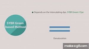 sybr green on Make a GIF