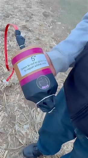 DOUBLE RING TO REPORTS CYLINDER SHELL FIREWORK #fireworks #firework #pyro #shorts