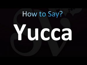 How to Pronounce Yucca (correctly!)