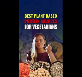 Best Plant Based Protein Sources for Vegetarians