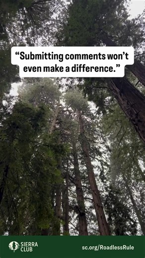 Speak up to save the Roadless Rule & protect our public lands! Add your name today before time runs out! | Sierra Club