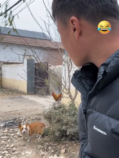 Unbelievable Animal Voice Pranks for Endless Laughter