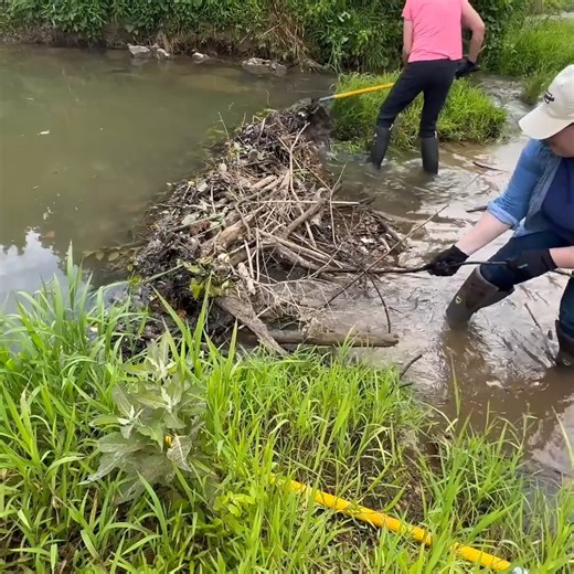 12K views · 256 reactions | Part 4 beaver dam removal cleanup of bridge | Culverts, bridges and ditches oh my | Facebook