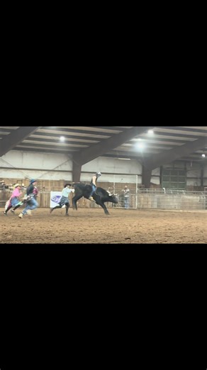 2 rodeos - 1 practice pen - 8 bulls - 582 miles - working hard #cowboy #bullriding #rodeo