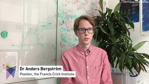 Study of ancient dog DNA traces canine diversity to the Ice Age