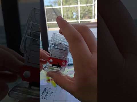 Bachmann Stanley review