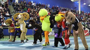 🎥 MASCOT RACE | What runs faster - a duck, a beaver or a ram? | British Universities & Colleges Sport (BUCS)