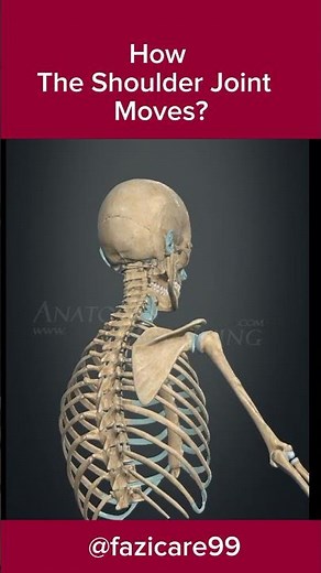 See How The Shoulder Joint Moves? 😲
