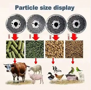 [Hot Item] Animal Feed Pellet Making Machine Price