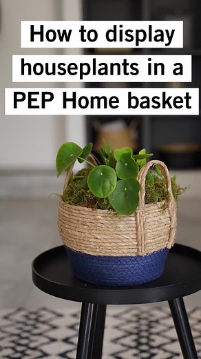 Display a houseplant using a PEP Home basket. #PEPGrowYourRoom #PEPHome #PEPFind